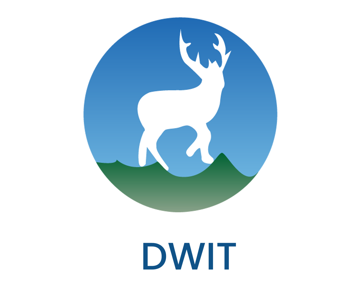 dwit company